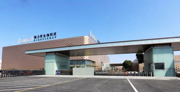 鐫定時(shí)代坐標(biāo)，隆力奇譜寫發(fā)展新華章